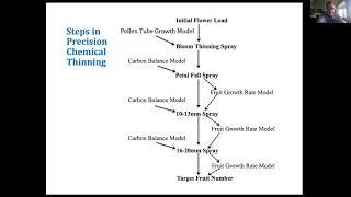 Virtual Petal Fall & Thinning Meeting: Champlain Valley