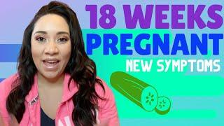 What to Expect at 18 weeks & Symptoms at 18 weeks Pregnant! (Your 18th Week Pregnant)