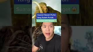 Suara hewan2 purba yg sudah punah ‼️ Suaranya unik banget  #Shorts #YouTubeShorts