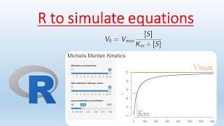 R programming at work: Simulate equations