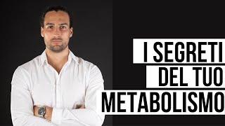 I segreti del metabolismo