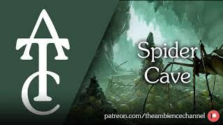 RPG | D&D Ambience - Spider Cave (skittering, squirming, squeaking)