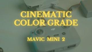 How to Color Grade Your DJI Mavic Mini footage