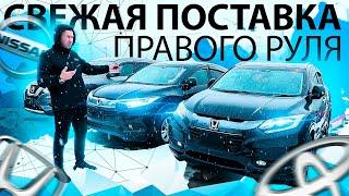 СВЕЖАЙШИЙ ПРИВОЗ АВТО С АУКЦИОНОВ ЯПОНИИ! ФЕВРАЛЬ - 2023