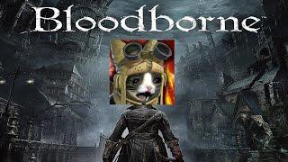 Rudyfruity is Boolinborne! 01