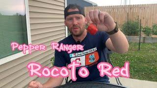 Rocoto Red Pepper Review