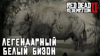 ЛЕГЕНДАРНЫЙ БЕЛЫЙ БИЗОН - охота в RDR 2