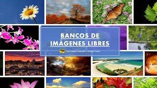 Bancos de imágenes libres