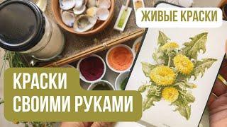 Как сделать акварельные КРАСКИ своими руками  | Натуральные краски из подручных материалов