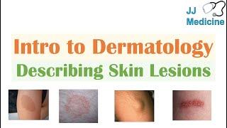 Introduction to Dermatology | The Basics | Describing Skin Lesions (Primary & Secondary Morphology)