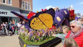 Dutch flower Parade | Bloemencorso Bollenstreek, Netherlands |