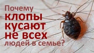 Клопы кусают не всех людей в семье? Это миф...