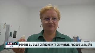 PEPENE CU GUST DE ÎNGHEȚATĂ DE VANILIE, PRODUS LA BUZĂU