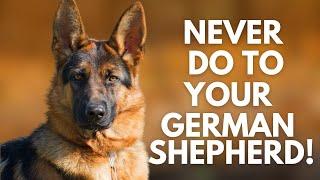 5 Things You Must Never Do to Your German Shepherd