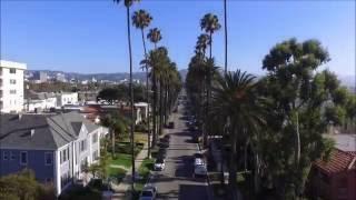 Beverly Hills California - drone view of the gorgeous palm trees