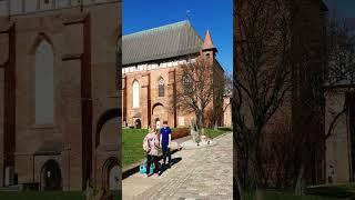  Russia Kaliningrad City ️ Königsberg Cathedral #1 ️