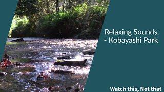 Soothing Sounds of Kobayashi's Park - A Natural Oasis of Serenity