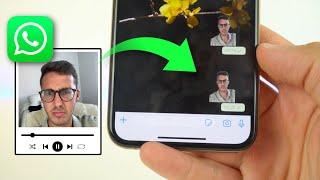 Create ANIMATED STICKERS on WhatsApp, Easy and No Background 