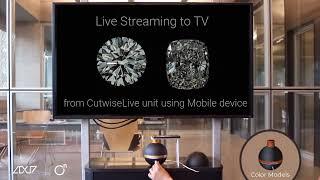 Cutwise LIVE demo - The ideal diamond fire & brilliance viewer