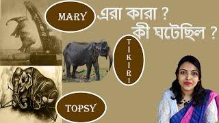 The Historical Mystery  #Mysterious & Pathetic elephant Case Before few years.