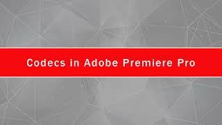 codecs in Adobe Premiere Pro | H.264 , H.265 HEVC, Apple ProRes, MP4, AVI, GIF