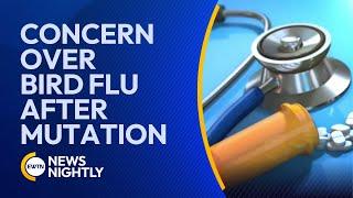 Concern Over Bird Flu After Mutation: Expert Insights on Managing Health Risks | EWTN News Nightly