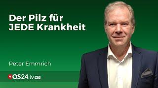Reishi: Der Pilz des ewigen Lebens | Facharzt Peter Emmrich | Naturmedizin | QS24