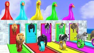 Long Slide Game With Elephant Gorilla Buffalo Hippopotamus Tiger 3d Animal Game Funny 3d Animals