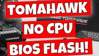 How To USB Flash BIOS MSI B550 Tomahawk Without CPU Guide