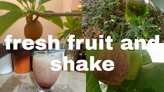 Fresh Fruit And Shake#fresh fruit#and shake#lemon noor