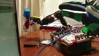 Robotic Arm Demo