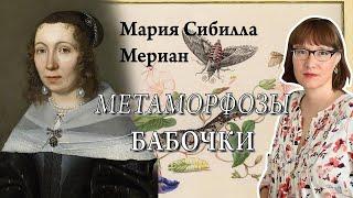 Мария Сибилла Мериан, ее невероятная жизнь, искусство и исследования