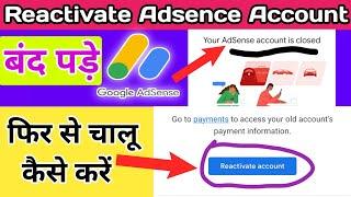 how to reactivate adsense account | reactivate Cancelled google adsense account
