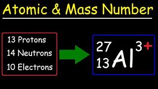 Atomic Number, Mass Number, and Net Electric Charge