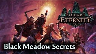 Pillars of Eternity - Black Meadow Secrets