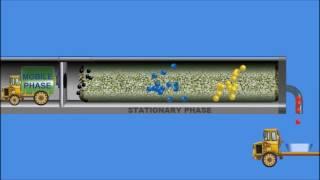 Chromatography  Animation IQOG CSIC