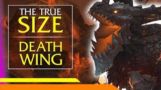 Deathwing's TRUE Size
