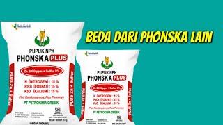 KEUNGGULAN PUPUK NPK PHONSKA PLUS DARIPADA PHONSKA YNG LAIN | CARA PENGGUNAAN PUPUK NPK PHONSKA PLUS