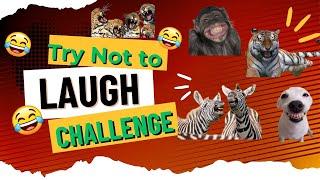 "99% Will Fail! Try Not to Laugh Challenge "