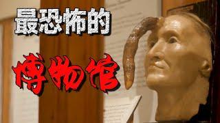 【獵奇】屍體，頭蓋骨，世界上最恐怖的博物館，裡面收藏著大量奇怪人類標本！