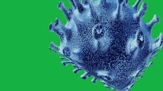 GREEN SCREEN Coronavirus (COVID-19) animation effects | Corona virus animations Chroma key