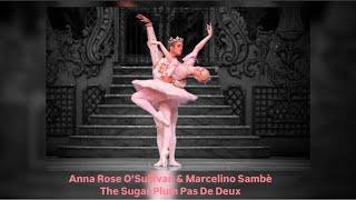 The Royal Ballet ~ The Sugar Plum Pas de Deux