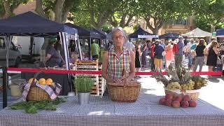 Inauguració 16è Mercat del Préssec d'Ordal