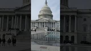 1/19/22 Nancy Drew in DC- Live Video 1-Capitol- More Info about the Reverend from Yesterday.