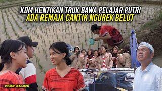 REMAJA CANTIK CARI BELUT DI SAWAH | HEBOH KDM STOP TRUK BAWA PULUHAN PELAJAR PUTRI