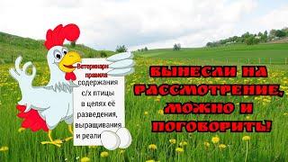 ▶️Стрим №82 Обсуждаем новые ВЕТЕРИНАРНЫЕ ПРАВИЛА СОДЕРЖАНИЯ СЕЛЬСКОХОЗЯЙСТВЕННОЙ ПТИЦЫ