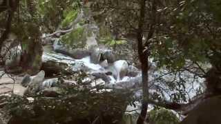 Ikaria, the most enchanting island of the Aegean