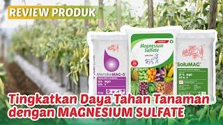 Manfaat Pupuk Magnesium Sulfate, Meroke Mag-S, SoluMAG untuk Tanaman