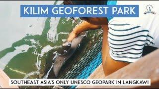 Kilim Geoforest Park In Langkawi