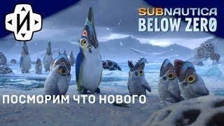 Subnautica Below Zero посмотрим обновление. #Стрим